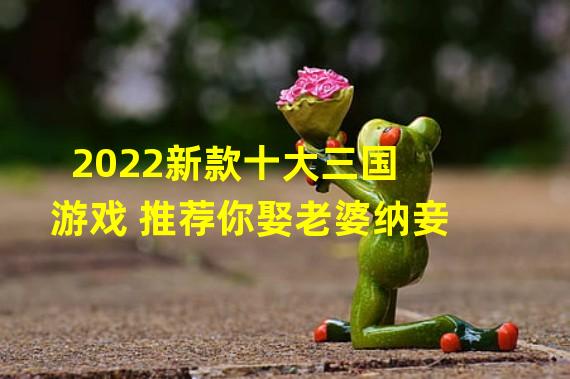 2022新款十大三国游戏 推荐你娶老婆纳妾